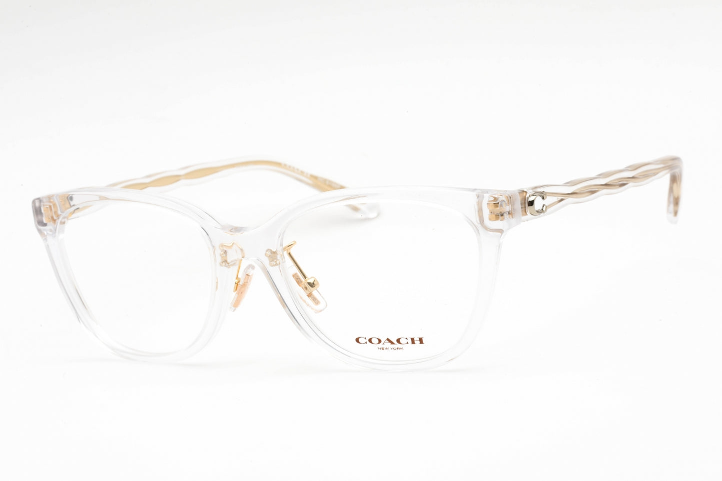 Coach 0HC6186F-5111 53mm