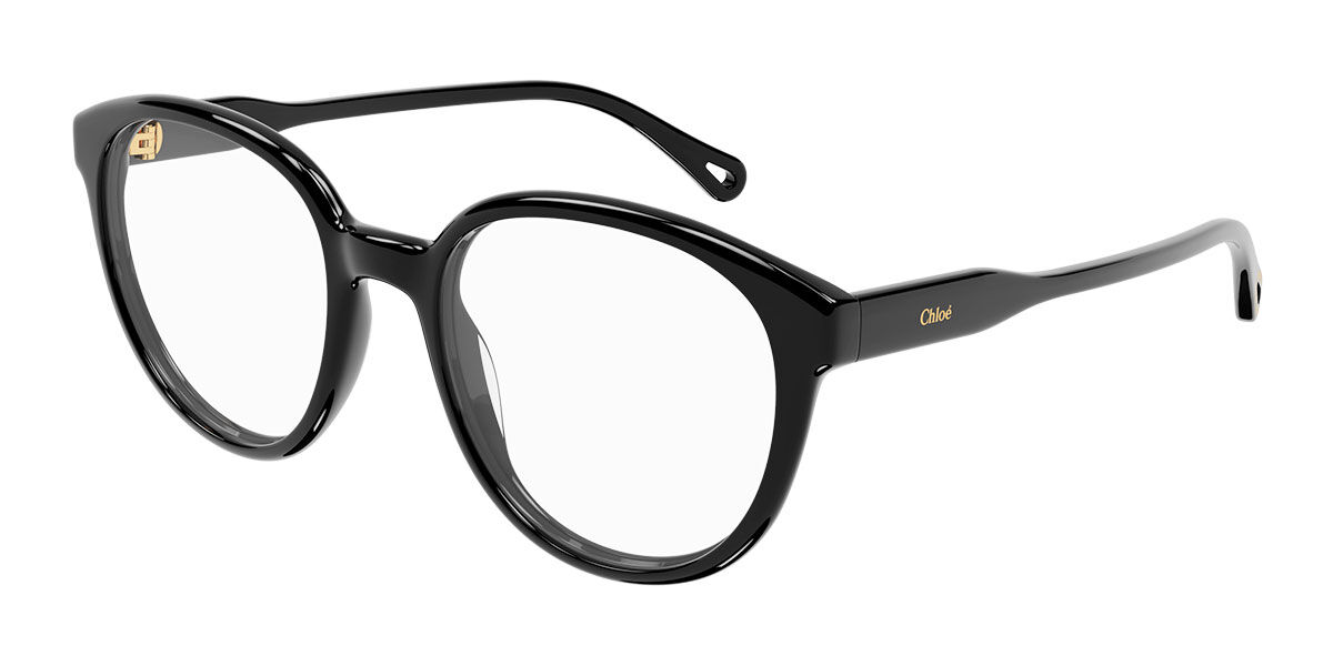 Chloe CH0127o-005 53mm