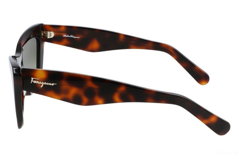 Salvatore Ferragamo SF929S-219 54.9mm