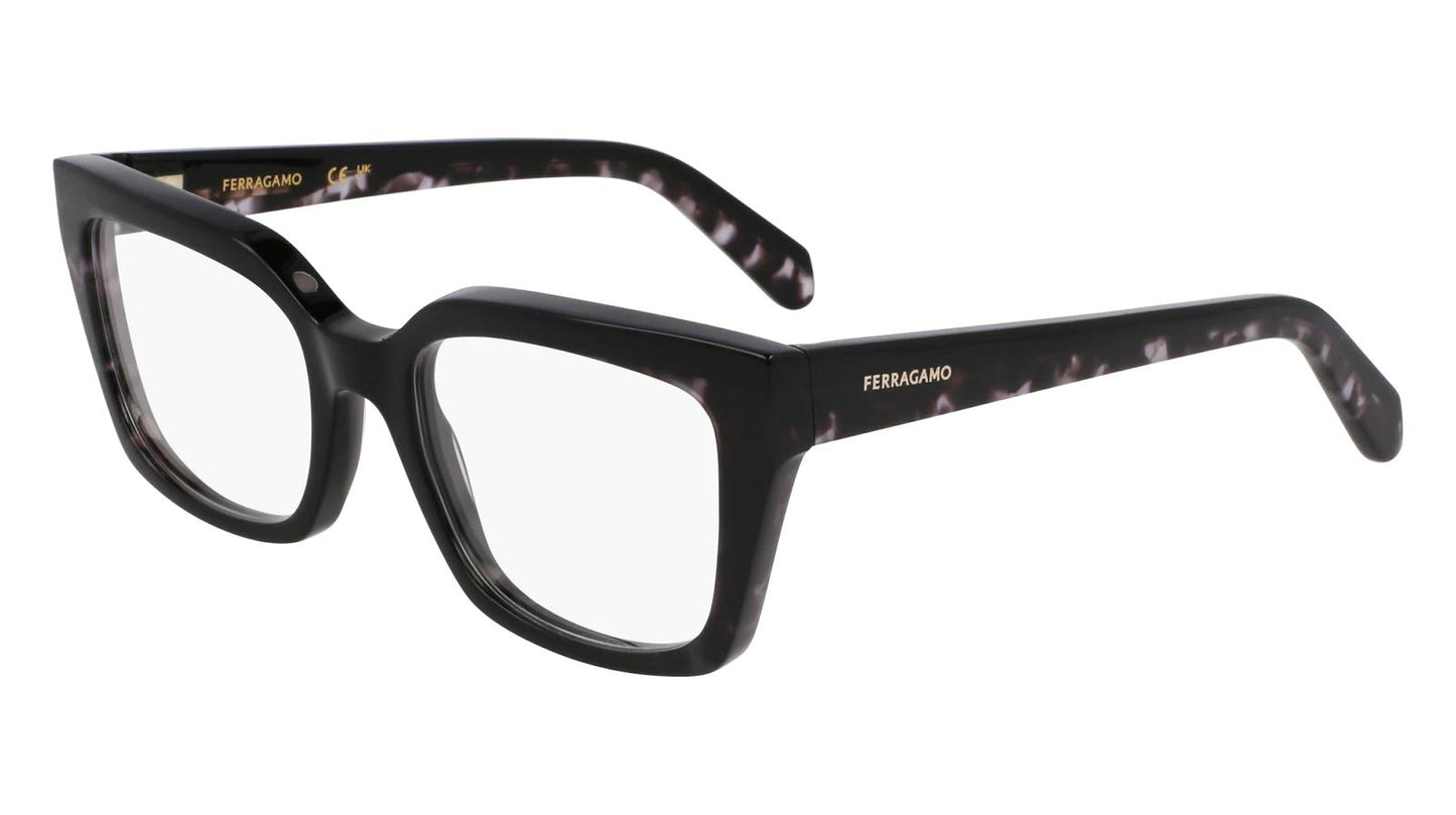 Salvatore Ferragamo SF3010-004-5219 52mm
