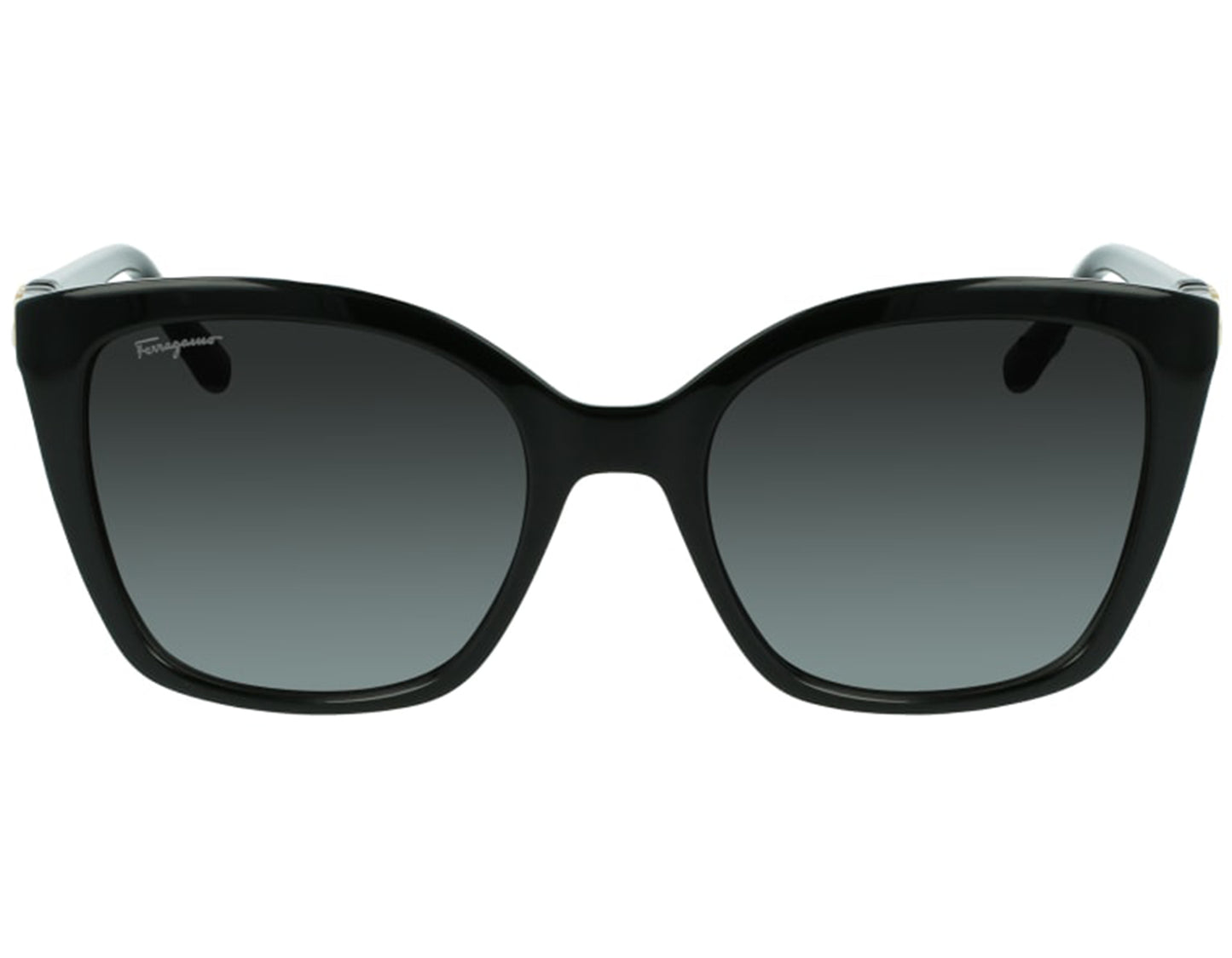 Salvatore Ferragamo SF1026S-001-53.9 54mm