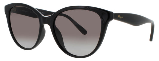 Salvatore Ferragamo SF1073S-001 54mm