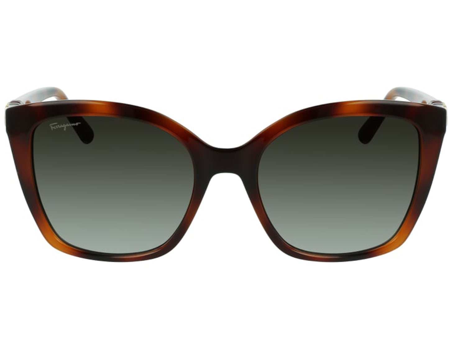 Salvatore Ferragamo SF1026S-214-53.9 54mm