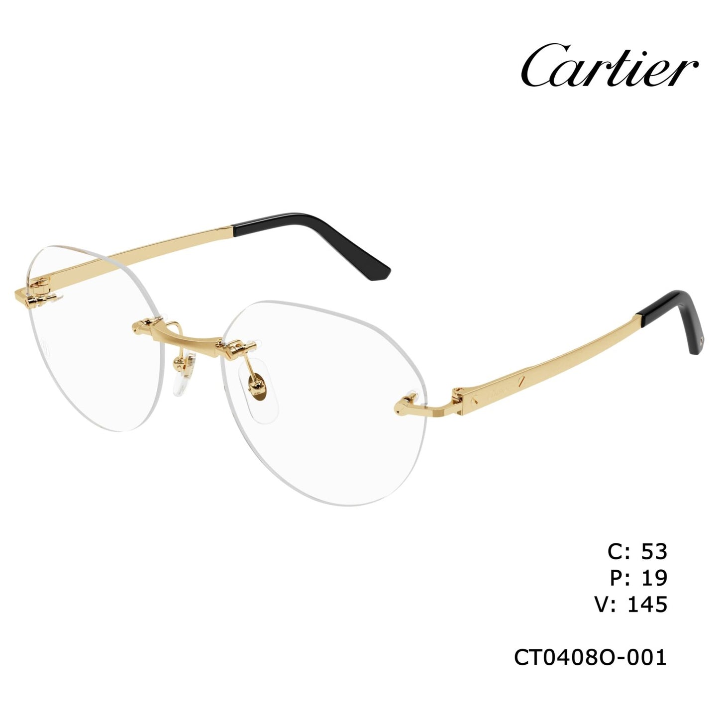 Cartier CT0408o-001 53mm