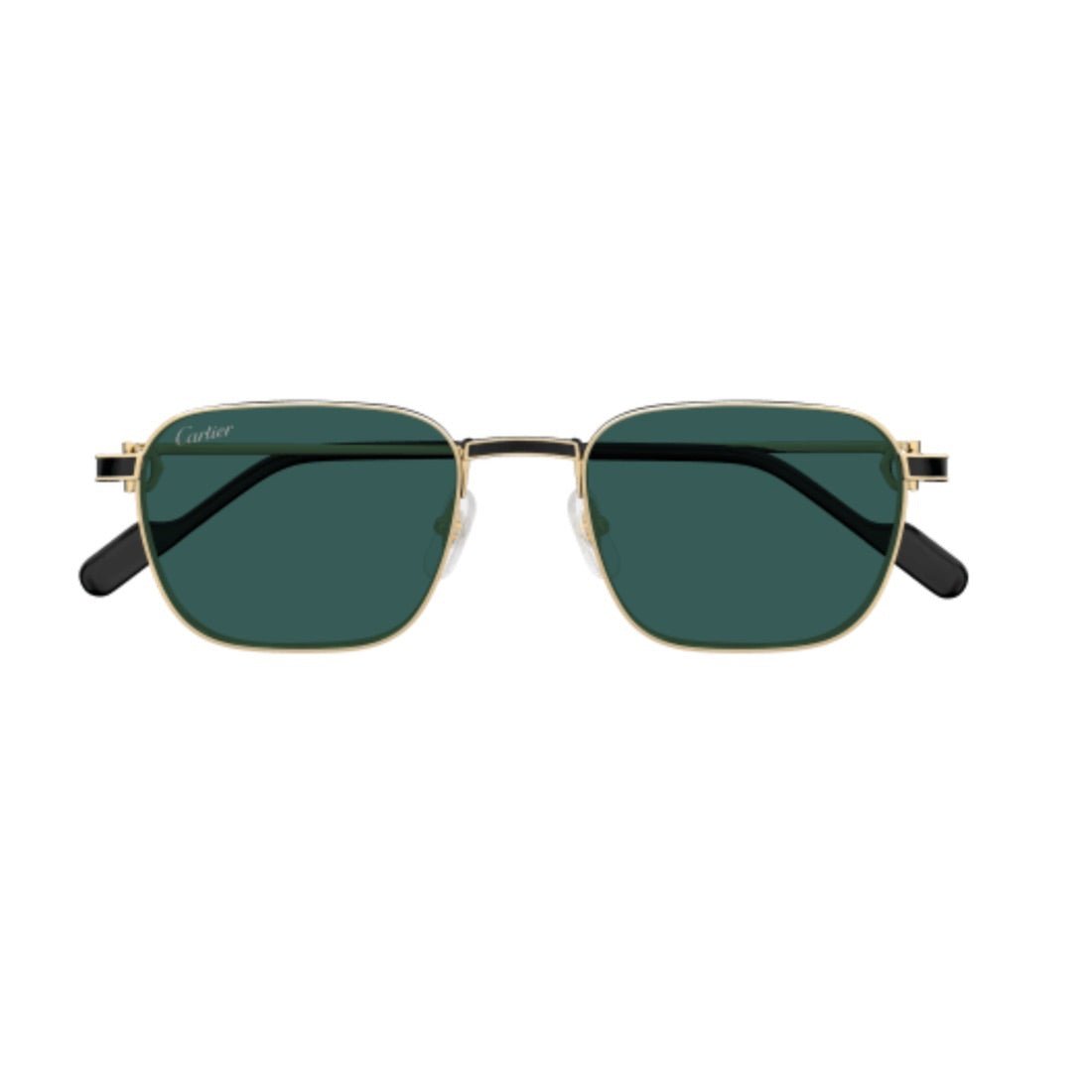 Cartier CT0497S-008 54mm