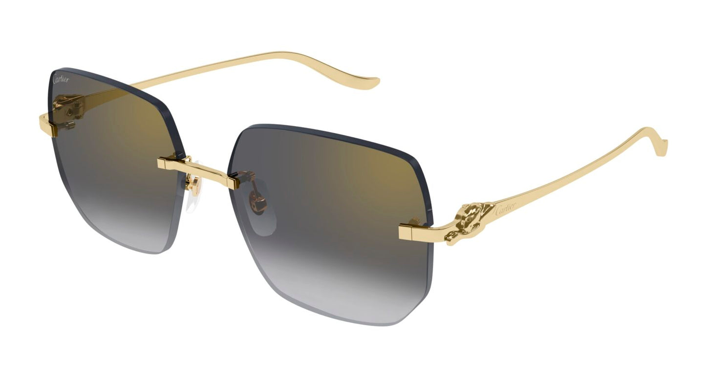 Cartier CT0549S-001 57mm