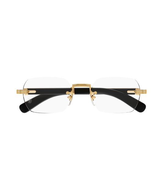 Cartier CT0377o-001 53mm