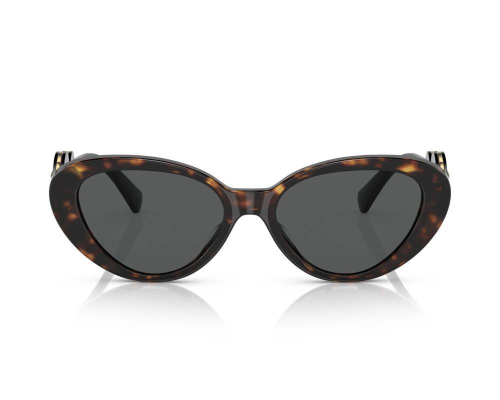 Versace VE4433U-108-87-54 54mm