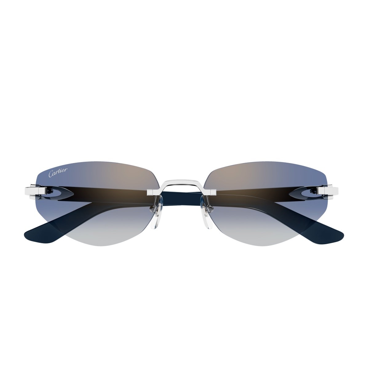 Cartier CT0580S-004 56mm