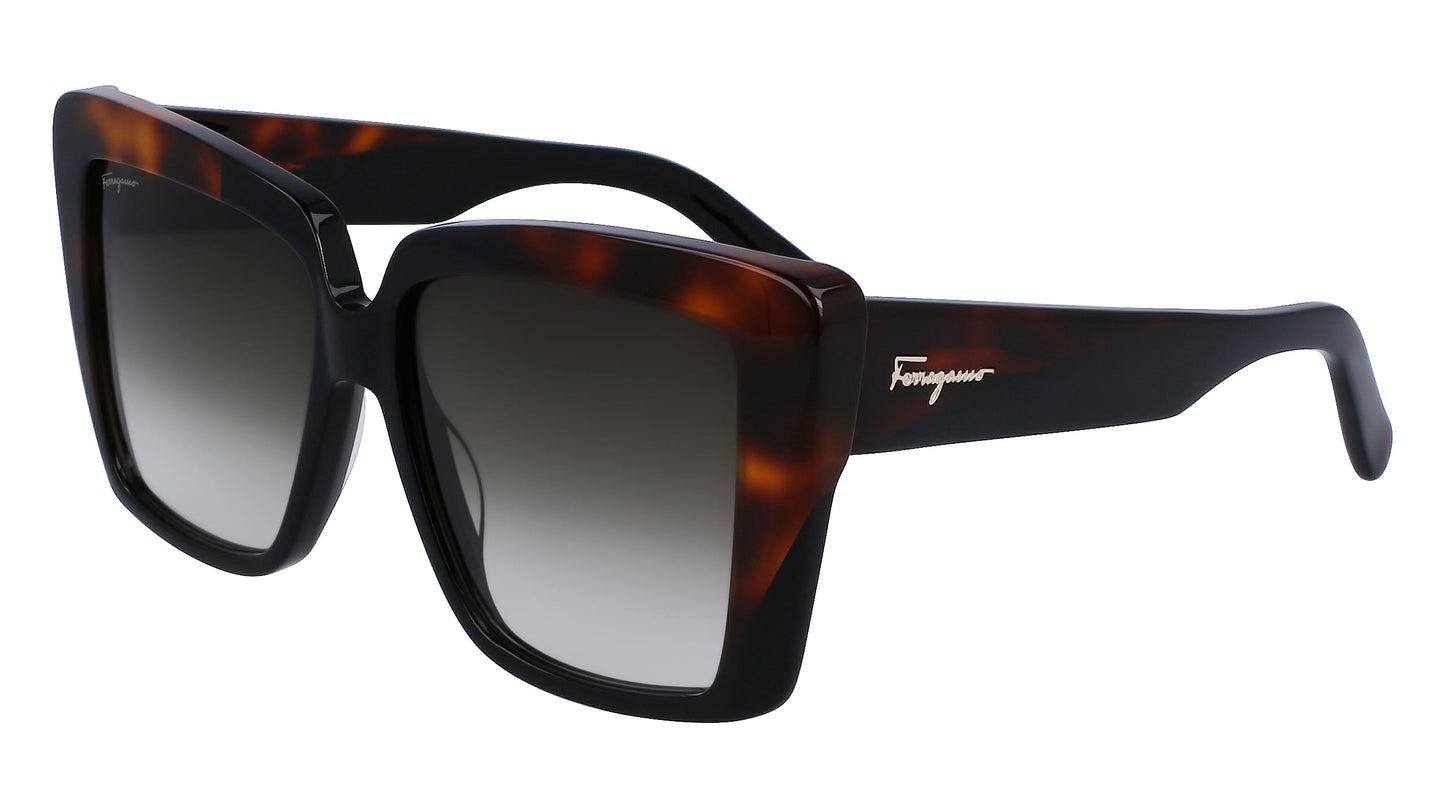 Salvatore Ferragamo SF1060S-006-55 55mm