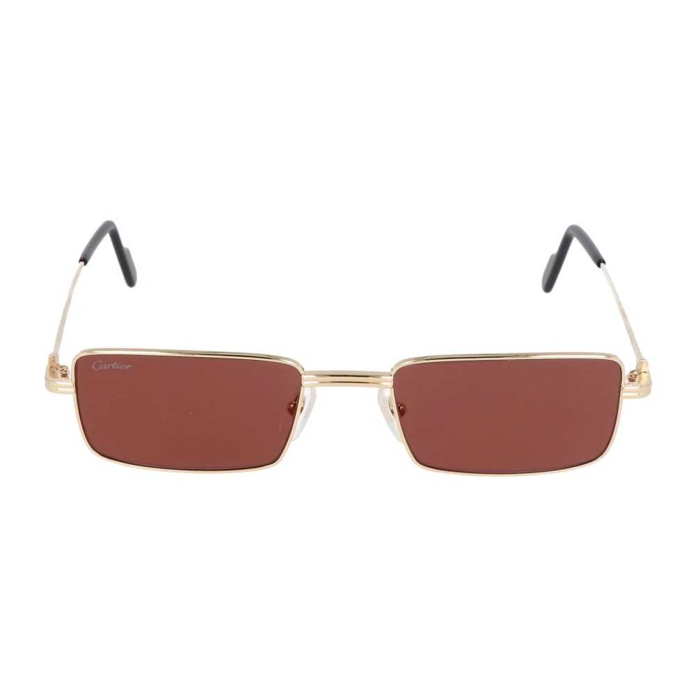Cartier CT0501S-006 54mm