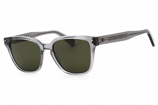 Salvatore Ferragamo SF1040S-020 55mm