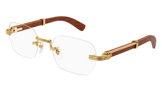 Cartier CT0377o-002 53mm