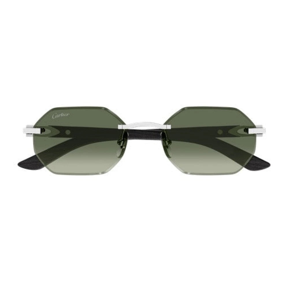 Cartier CT0439S-008 54mm