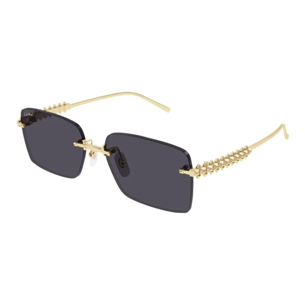 Cartier CT0545S-002 58mm