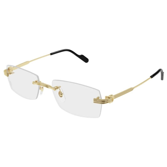 Cartier CT0578o-001 55mm