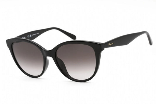 Salvatore Ferragamo SF1073S-001-5417 54mm