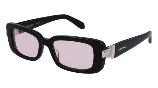 Salvatore Ferragamo SF1105S-005-5217 52mm