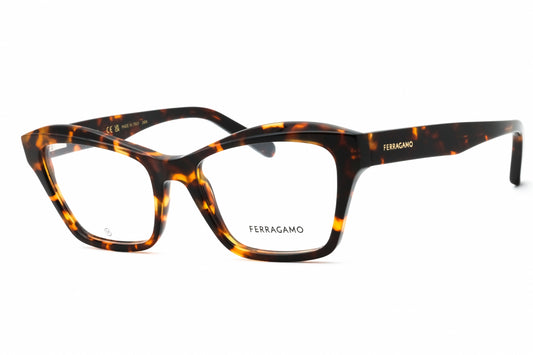 Salvatore Ferragamo SF2951N-219 53mm