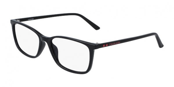 Calvin Klein CK19512-001-5116 51mm