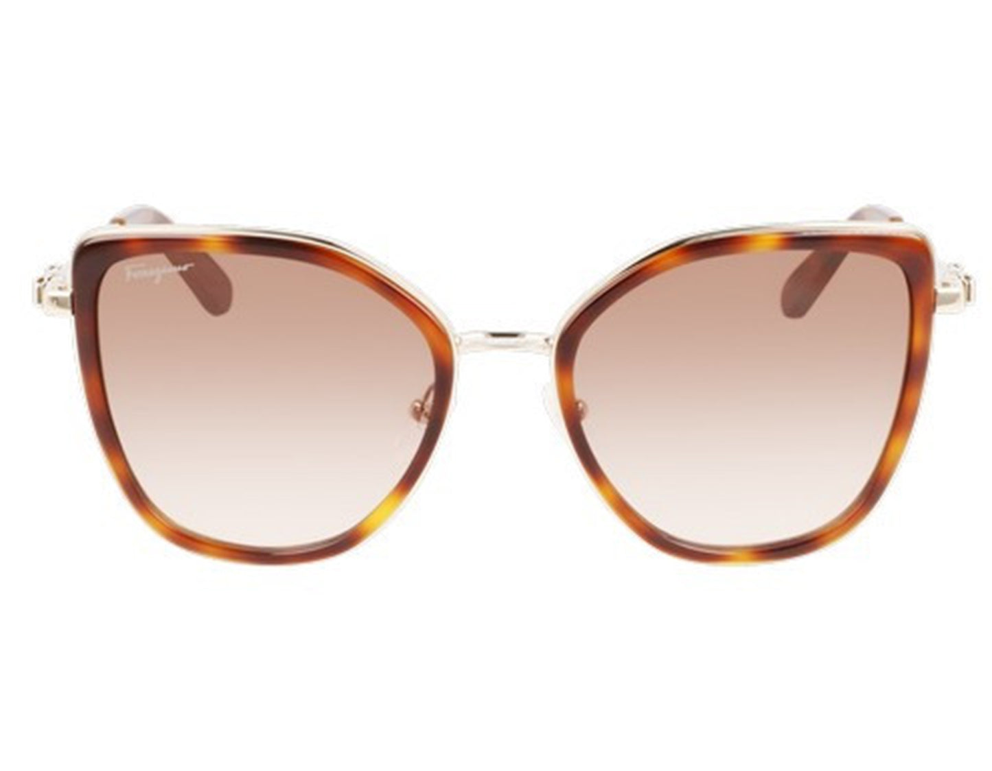 Salvatore Ferragamo SF293S-723-54 54mm