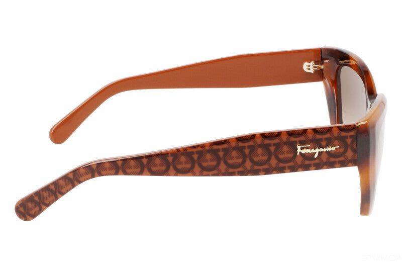 Salvatore Ferragamo SF1043S-238 54mm