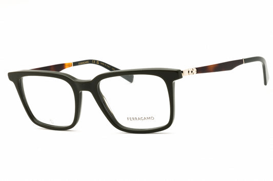 Salvatore Ferragamo SF2969-302 53mm
