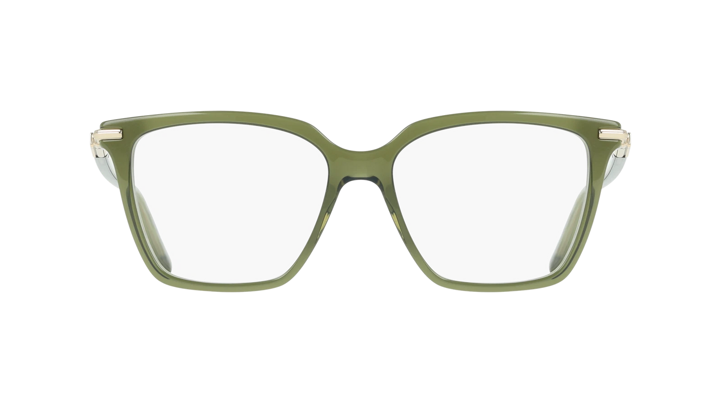 Salvatore Ferragamo SF3038-317-5416 54mm