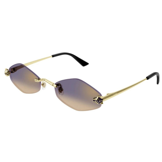 Cartier CT0433S-005 55mm