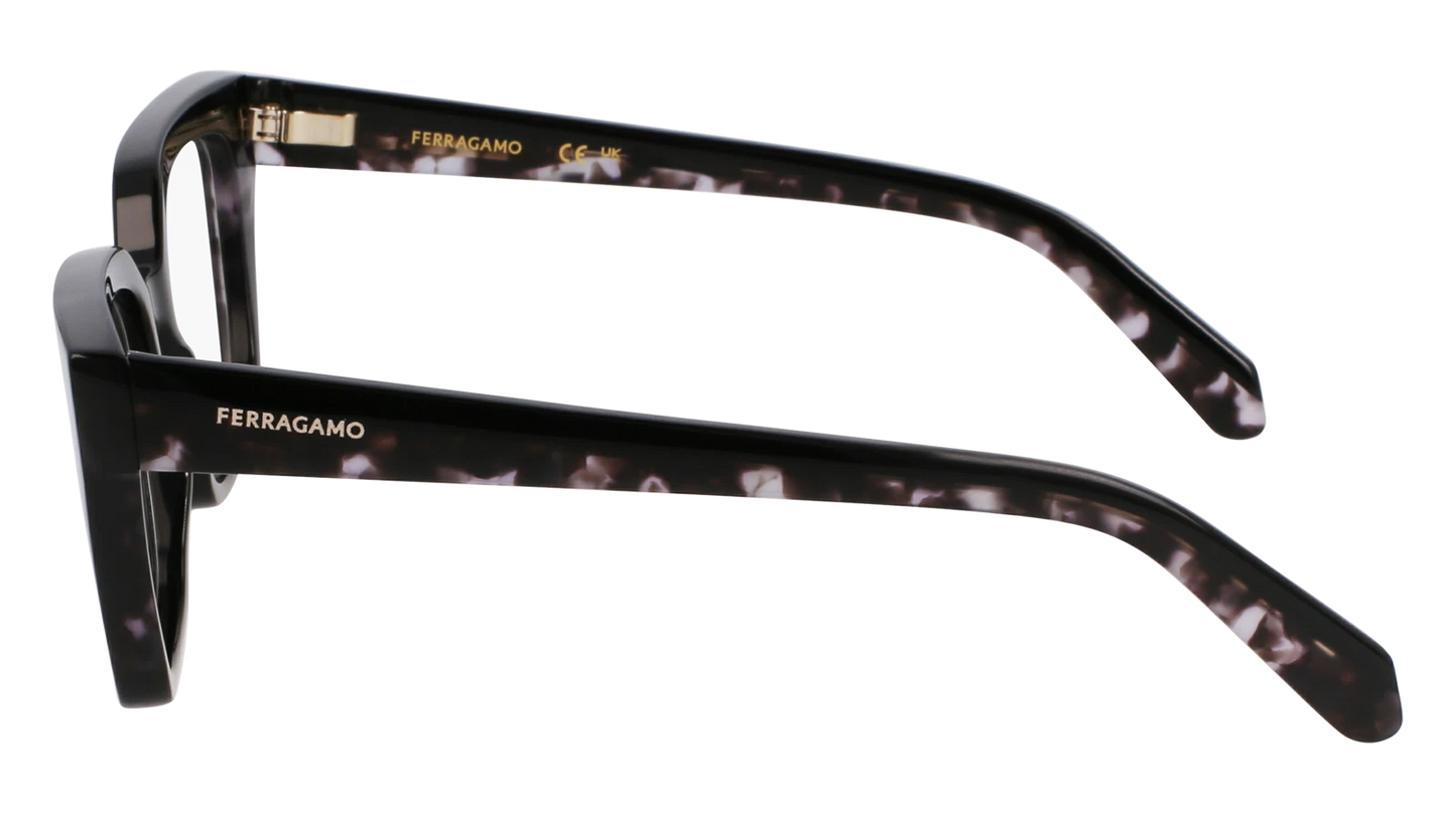 Salvatore Ferragamo SF3010-004-5219 52mm