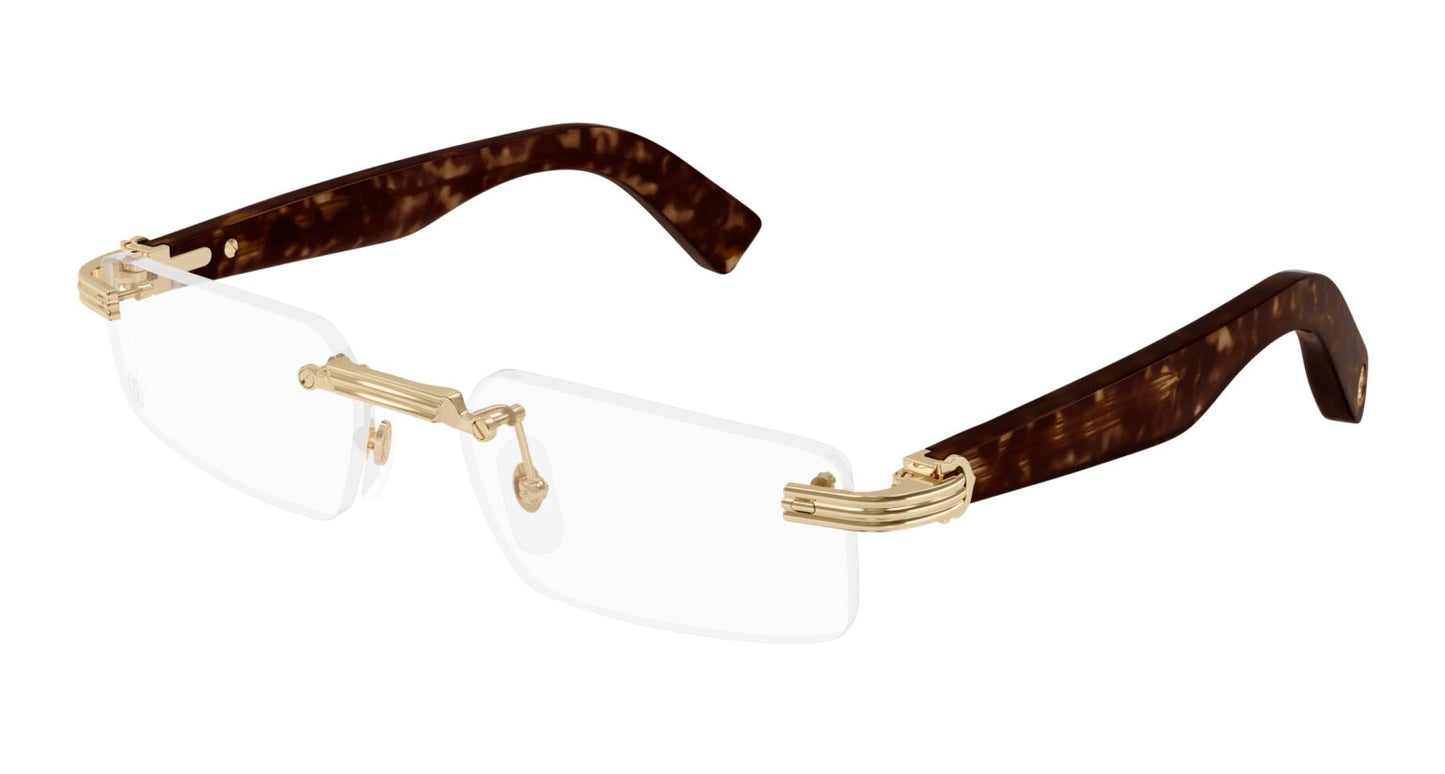 Cartier CT0537o-002 55mm