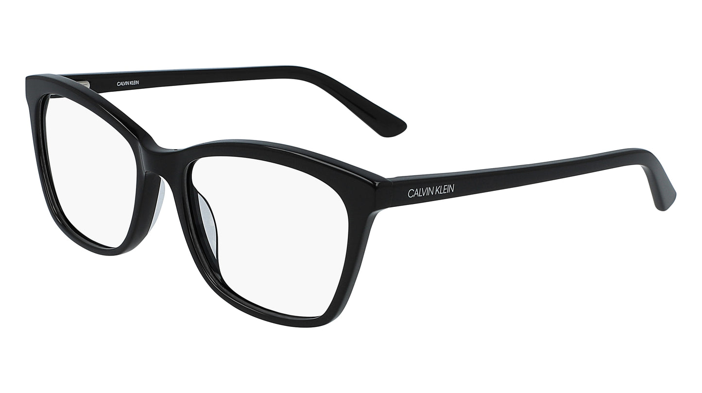 Calvin Klein CK19529-001-54 54mm
