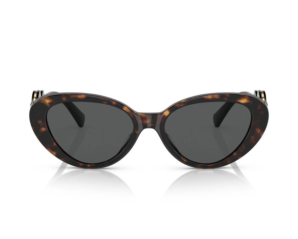 Versace VE4433U-108/87 54mm