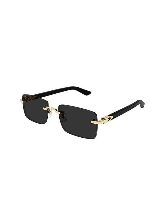 Cartier CT0579S-005 57mm