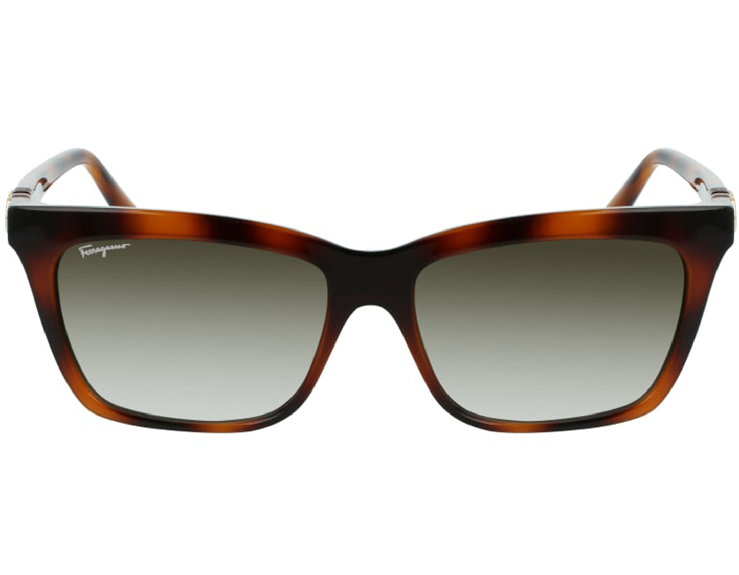 Salvatore Ferragamo SF1027S-214-55 55mm