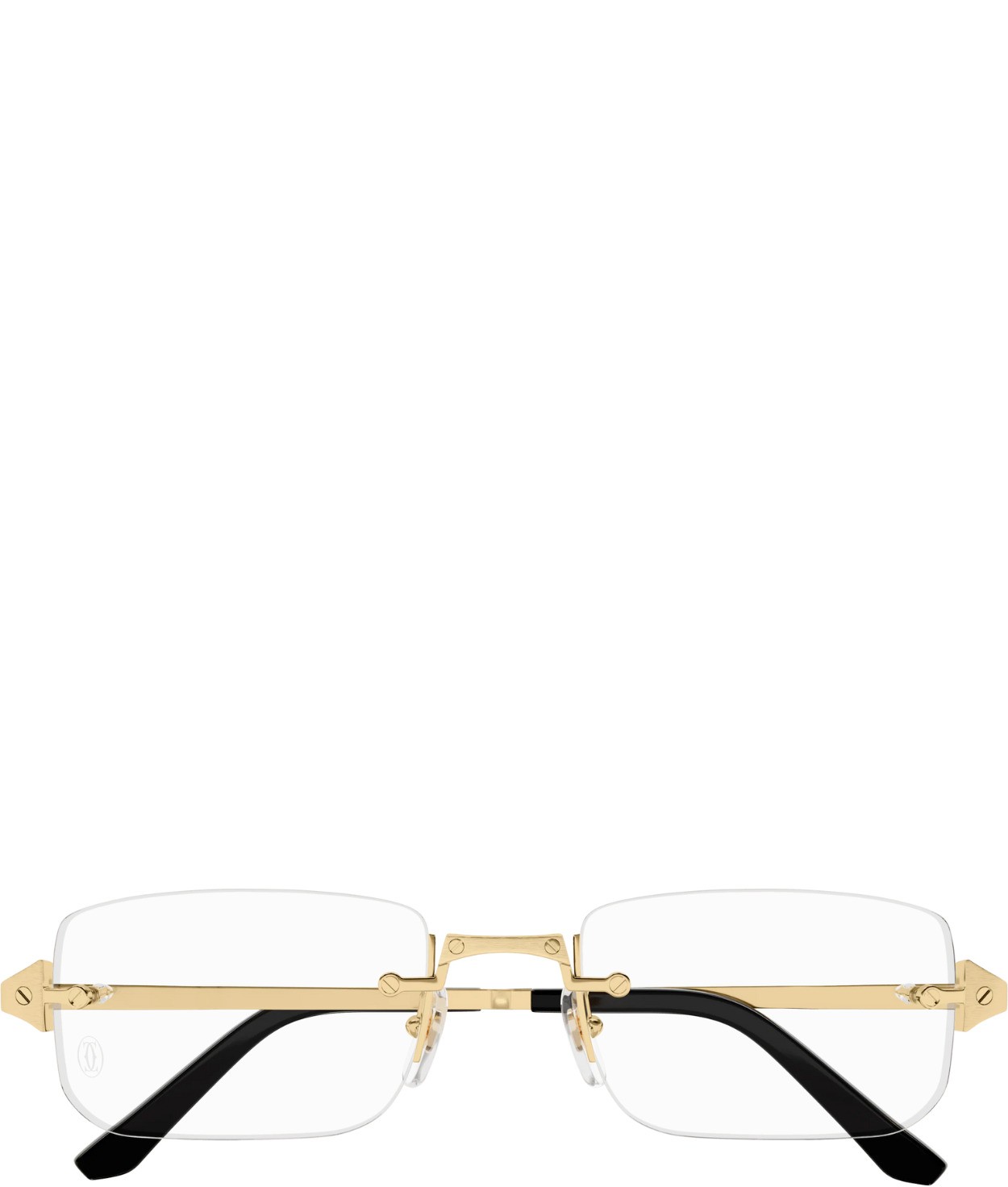 Cartier CT0479o-001 54mm