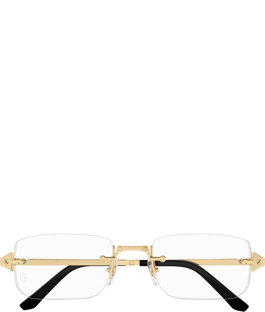 Cartier CT0479o-001 54mm