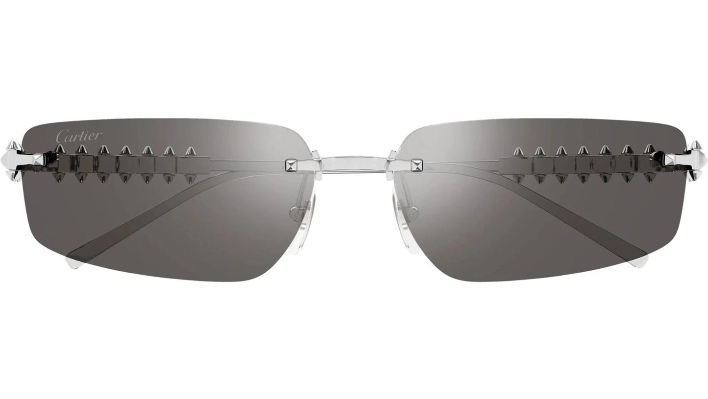 Cartier CT0544S-003 58mm