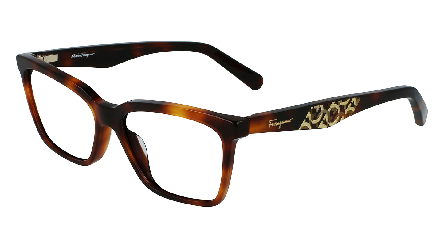Salvatore Ferragamo SF2904-240-54.9 55mm