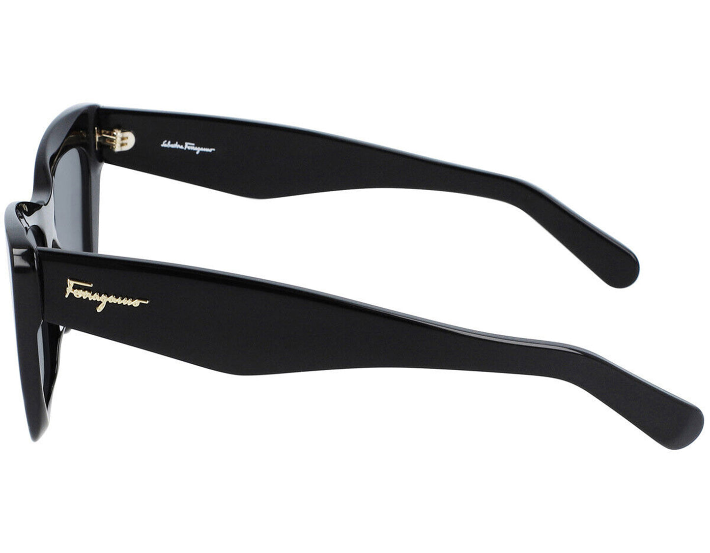 Salvatore Ferragamo SF929S-001-55 55mm